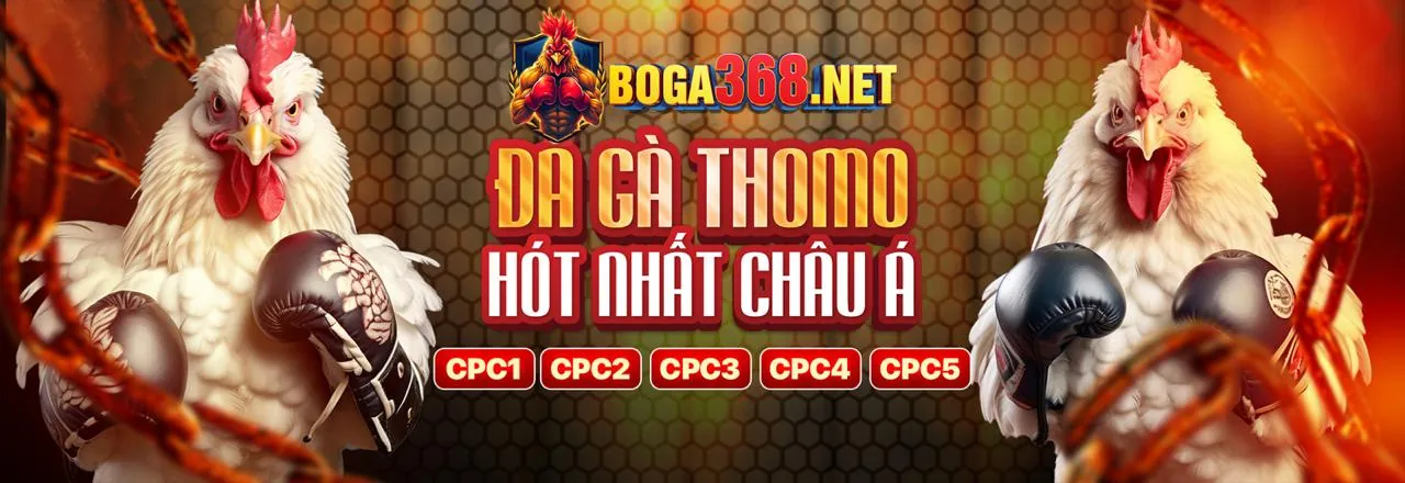 Đá gà kịch tính tại RR99 Login